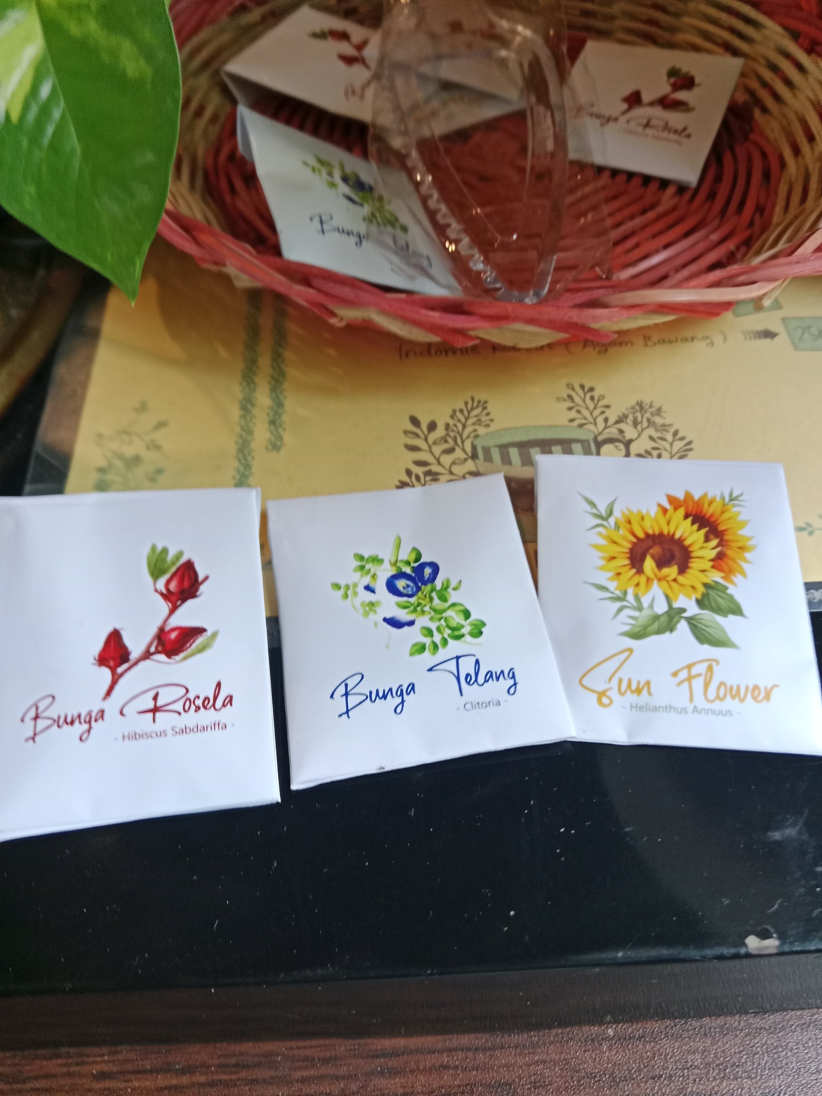 Asman Toga Wuluh Telang